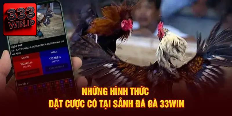 Đá gà tại 333WIN mang đến không gian giải trí chất lượng