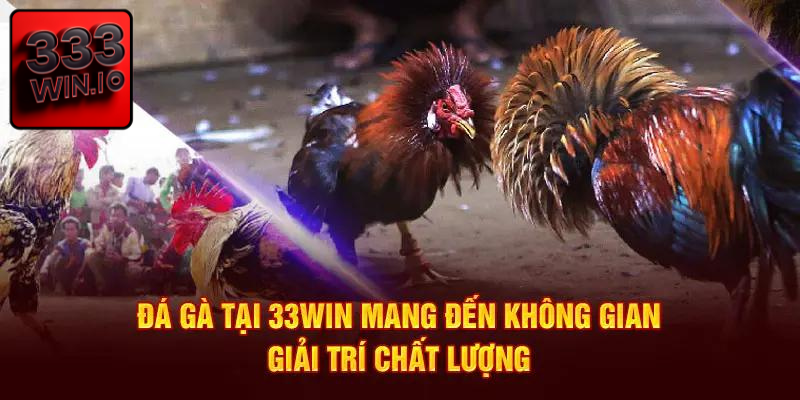 Thông tin khái quát về sảnh đá gà 333WIN