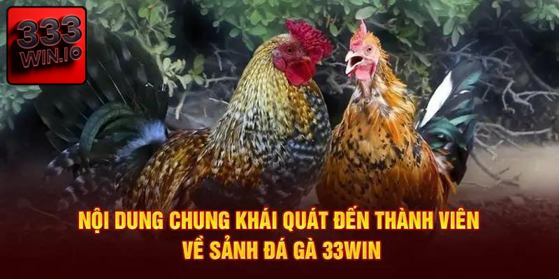 Những hình thức đặt cược có tại sảnh đá gà 333WIN